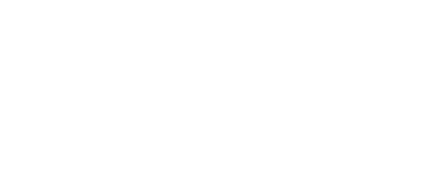 A green and white logo for the ceo.