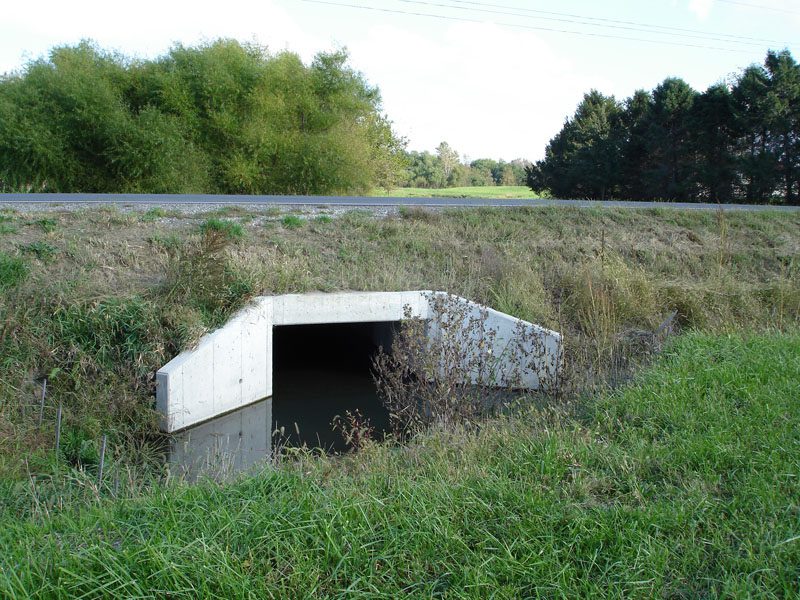 A tunnel in the middle of nowhere