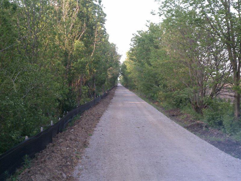 A road with trees and dirt on the side.