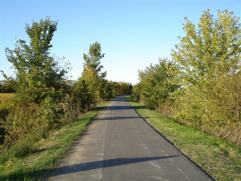 A road with trees and grass on both sides of it.
