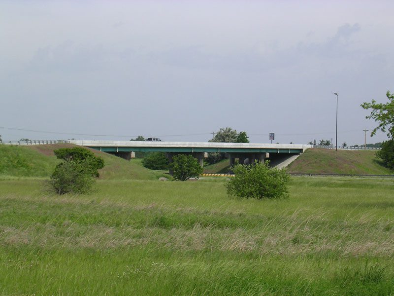 A bridge over a grassy field with trees in the background.