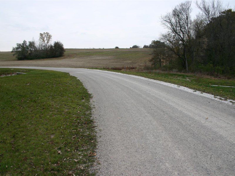 A road with grass and trees on both sides of it.