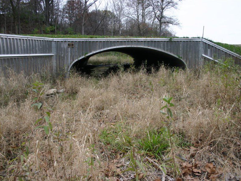 A bridge that is under the ground with grass growing on it.